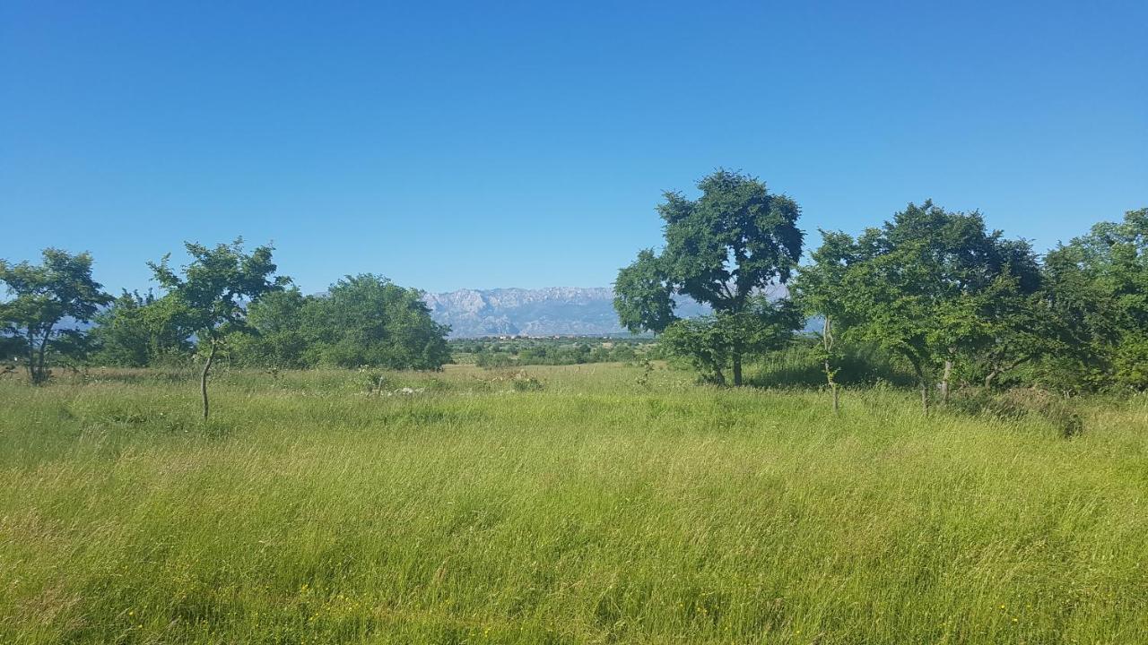 Villa Ivona ! Zara Esterno foto
